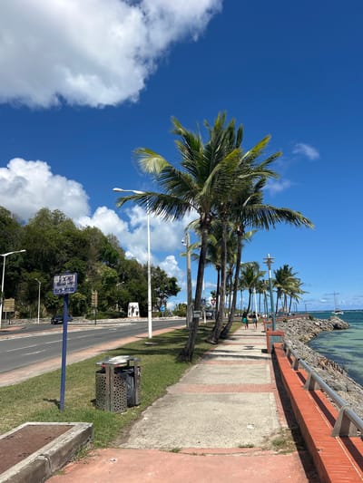 The image captures a scene in Sainte-Anne, France, featuring a coastal promenade lined with palm trees under a bright blue sky with scattered clouds. The promenade is constructed with a combination of concrete and brick sections, separated from the road by a grassy strip. Along the road, street signs and lampposts are visible. In the distance, the turquoise sea meets the rocky coastline. Several people are strolling along the promenade. A waste disposal receptacle is visible near the grassy strip. The vegetation on the left includes trees and shrubs.