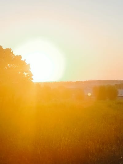 A sun-drenched field is visible at sunset, with the sun positioned in the upper left corner, casting a golden glow over the scene. The foreground is dominated by tall grass, illuminated by the warm light, creating a soft, hazy effect. In the middle ground, a line of trees and some buildings are visible, their details blurred by the intense light and atmospheric haze. The sky is a pale gradient of white and pale yellow, with hints of green and orange near the horizon, suggesting a warm sunset. The location is specified as a field in the city of Көлкент, Kazakhstan.