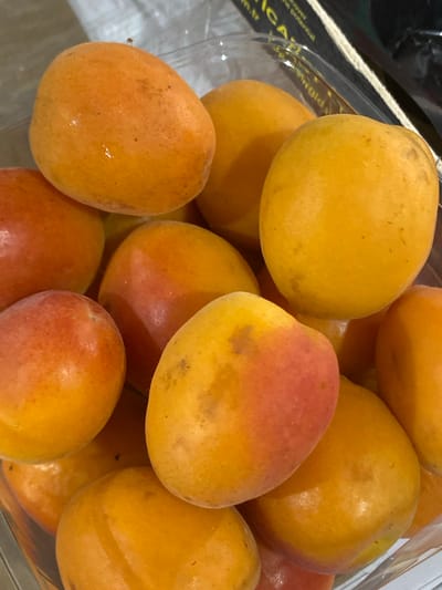 A close-up, top-down shot shows a collection of ripe apricots clustered together in a clear plastic container. The apricots exhibit a range of colors from deep orange to yellow, with some showing hints of red blush. Their surfaces are smooth, with a slight sheen suggesting they may be freshly washed or naturally dewy. A few small brown spots are visible on some of the fruits. The background is out of focus, but appears to be an indoor setting with a textured surface and some light filtering in. No people or actions are depicted. The location in Kushchovskaya, Russia, is not evident from the image itself.