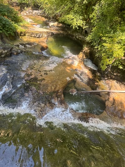 The image shows a natural stream flowing over rocky terrain in a forested area. The water is clear and green in some pools, and white and foamy where it cascades over rocks. The rocks are various shades of brown and gray, with patches of moss and vegetation growing on them. Sunlight filters through the trees, creating dappled shadows on the water and rocks. In the upper right portion of the image, dense green foliage from trees hangs over the stream. A fallen log spans a deeper pool in the center of the image. The scene is dynamic, with the water in motion and sunlight creating varying light and shadow patterns. This stream is likely part of the Source of the Bienne River, located in the vicinity of Saint-Claude, France, a region known for its natural springs and forested landscapes.