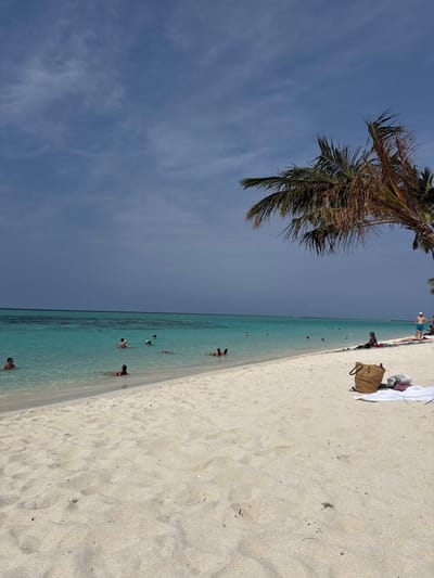 A beach scene with white sand, turquoise water, and a partially visible palm tree. People are scattered along the shoreline and swimming in the water. A few beachgoers have set up near the top of the frame, near a bag and towels. The sky is blue with some wispy clouds. The photograph is oriented at an angle, making the horizon appear diagonal.