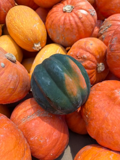 The image shows a close-up of a pile of pumpkins and squashes. Most of the pumpkins are orange, and one is green with an orange streak. There are also a couple of yellow spaghetti squashes. The image appears to have been taken in Kadima-Zoran, Israel. The scene consists entirely of fruits. There are no people visible.