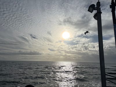 Ocean view under a textured sky. A bright sun filters through the clouds, creating a shimmering reflection on the water's surface. A bird flies near a metal pole on the right. The sky is a mix of dense, wavy clouds and patches of clearer sky. The ocean is choppy with small waves, and the overall tone is calm and serene, despite the slightly overcast lighting.
