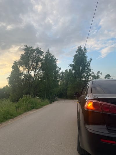 The image depicts a dark-colored car parked on a paved road, with its brake light illuminated. The car is positioned on the right side of the frame, facing away from the viewer. The road appears to be unpaved on the left side, bordered by tall green grass and dense trees. In the background, a line of trees with lush green foliage stretches across the landscape. A power line extends diagonally across the sky from the upper right to the middle left. The sky is overcast with scattered clouds, tinged with the warm hues of sunset on the left side. The overall scene suggests a rural or semi-rural setting. The location is identified as Nikolskoye, Russia.