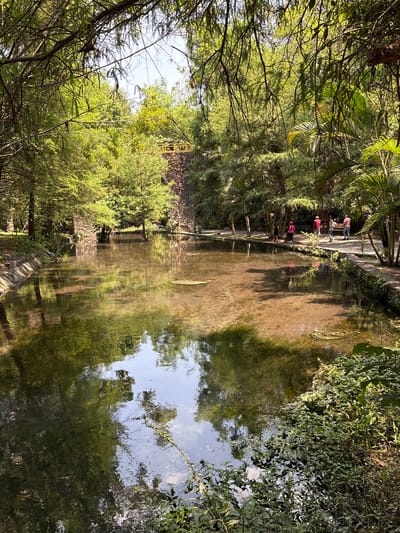 The image shows a small stream or canal within a park or garden setting in Cuernavaca, Mexico. Lush vegetation including trees and bushes line both banks. The water surface reflects the surrounding foliage and sky. A pathway is visible along the bank in the background, with several people gathered together along the path. A structure that appears to be made of stone and brick is also located along the pathway in the background. The light is filtered and dappled.
