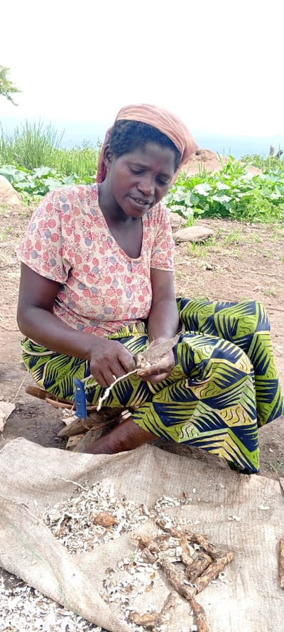 A woman wearing a headscarf and a patterned shirt and skirt sits outdoors, peeling roots with a knife. She's positioned above a burlap sack containing root shavings and unpeeled roots. A blue-handled tool lies nearby. The background includes a patch of greenery, suggesting a garden or field, and a hazy horizon line. The scene conveys a sense of agricultural labor or food preparation in a rural setting.