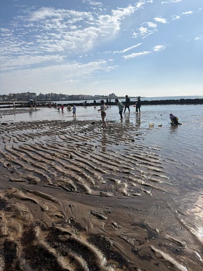 This image depicts a lively scene at the beach during low tide. The foreground is dominated by wet, rippled sand, marked by footprints and small pools of water reflecting the sky. In the middle ground, several people, including adults and children, are engaged in activities on the wet sand and in the shallow water. Some are wading, while others appear to be collecting something or observing the surroundings. A few white buckets are visible in the water. In the background, a line of dark rocks forms a breakwater, beyond which the sea stretches to the horizon. A coastal town with buildings and structures is visible further in the distance, suggesting an urban or semi-urban coastal setting. The sky is partly cloudy with patches of blue sky. The overall impression is one of a sunny day at a popular beach location, likely in Jeju City, South Korea, given the context provided.