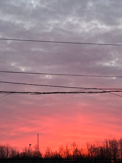 The image captures a landscape scene in Kudrovo, Russia, dominated by a vibrant sky transitioning from a gray, overcast left side to a fiery, pink-red sunset on the right. Silhouetted against the skyline are bare trees bordering a fence line, suggesting a park or natural area. In the lower right, two small poles are visible. Power lines stretch across the sky in the foreground. No people are visible in the image. The scene is static.