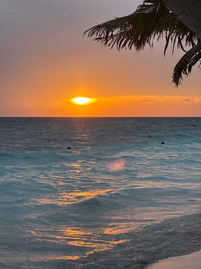 A vertically-oriented image shows a tropical scene at Ukulhas, Maldives. On the left, a palm tree frond is silhouetted against a sunset sky gradient from light orange to gray. The sun is visible near the horizon, casting an orange glow. The right half of the image depicts ocean waves reflecting the sunlight, with golden ripples across the water's surface. Three small dark objects are visible on the water. The ocean and sky meet at the horizon, creating a contrasting line between the warm sunset and the cool ocean.
