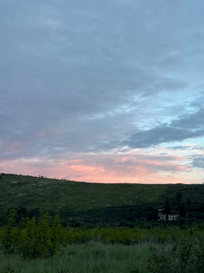 The image presents a landscape view in Zankovići, Montenegro, under a sky filled with varied cloud formations colored by the hues of sunset. To the right, a densely vegetated hillside ascends, featuring patches of buildings amidst the trees. The foreground shows tall grasses and foliage.