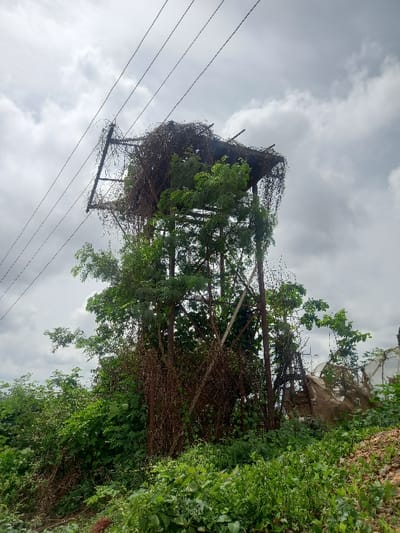 The image shows a tall, dilapidated, metal water tower that has been overtaken by vegetation. It is located in the city of Ita Oniyan, Nigeria, at the coordinates (latitude: 7.291, longitude: 5.167). The tower is constructed of metal and is covered in rust. It has a rectangular base and four vertical support beams. The tower is topped with a cylindrical structure, which appears to be a water tank. Vines and other vegetation have grown over the tower and obscuring the tank. The tower is surrounded by lush vegetation and trees. The sky is overcast with clouds. No people are present in the image.