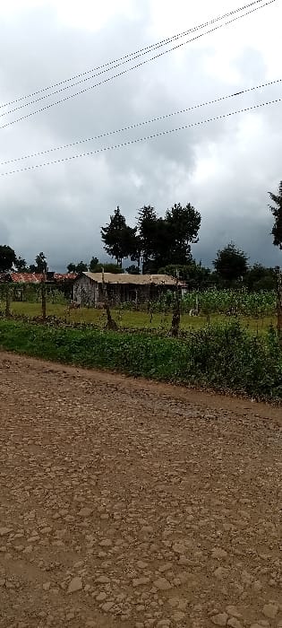 This image depicts a rural or semi-rural scene in Gatakaine, Kenya, under an overcast sky. The foreground is dominated by a reddish-brown unpaved dirt road composed of compacted soil and various sizes of gravel. Immediately beyond the road, a strip of dense, uncultivated green vegetation is visible. A rudimentary fence, constructed from wooden posts and multiple strands of wire, spans horizontally across the midground. Behind this fence, a cultivated field containing rows of green plants, consistent with crops, is present. Centrally located within this field is a single-story, weathered wooden structure with a light-colored, possibly corrugated metal, roof and wooden plank walls showing signs of age. To the left of this structure, a portion of a second building with a reddish-brown corrugated iron roof is partially visible. The background consists of several dark green trees of varying heights. The sky is entirely covered by heavy, dark grey clouds. Multiple dark utility lines are visible stretching diagonally across the upper portion of the sky. No individuals or active interactions are observed within the frame.