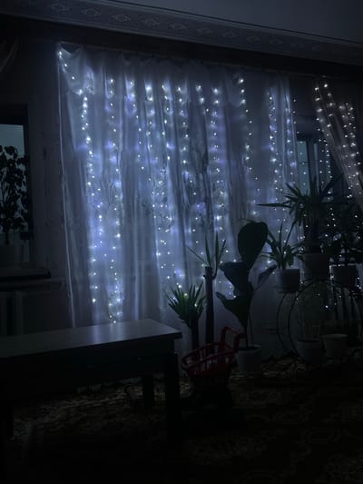 The image depicts an interior scene with a window covered by sheer curtains adorned with a string of white fairy lights. Several potted plants of varying sizes are arranged in front of the curtains. A dark-colored table or bench is positioned in the foreground, and a patterned rug covers the floor. To the right, a decorative plant stand holds more potted plants. A small red toy shopping cart is visible in the lower right portion of the image. The lighting suggests it is nighttime or the room is dimly lit, with the fairy lights providing a soft glow. The overall atmosphere is cozy and decorated. This scene could be from a residential apartment in Berestyn, Ukraine, given the context provided.