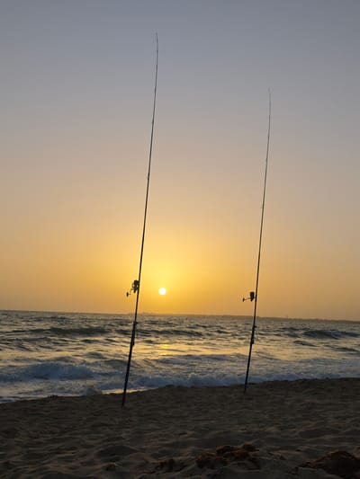 Two fishing rods are planted in the sand on a beach, with the ocean in the background. The sun is low in the sky, casting a warm, orange glow over the scene, indicating it is either sunrise or sunset. The sky transitions from a pale blue at the top to a soft yellow near the horizon. Gentle waves are rolling onto the shore, creating a peaceful and serene atmosphere. The sand appears dry and somewhat textured, with a few clumps of dried seaweed or debris visible in the foreground. The overall mood is tranquil and idyllic, suggesting a moment of quiet solitude or anticipation of a good catch. The location is identified as Costa Oeste, Spain. There is no visible text in the image.