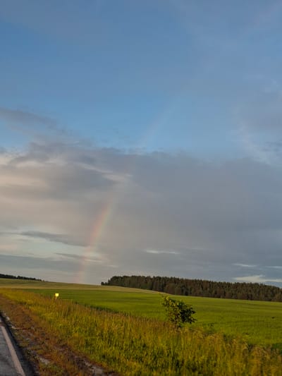 The image depicts a rural landscape with a prominent rainbow arcing across a partly cloudy sky. The foreground features a grassy field and a portion of a paved road. In the mid-ground, a dense line of trees forms a horizon, with rolling green fields stretching out before them. A small, leafy bush is visible in the right mid-ground. A yellow marker or sign stands in the left mid-ground. The sky exhibits a mix of blue and grey clouds, with the rainbow clearly visible amidst the lighter clouds. The lighting suggests it is either early morning or late afternoon. No people are present in the image. The scene is serene and natural, possibly captured near the outskirts of the settlement of Chumna, Russia, given its rural character.