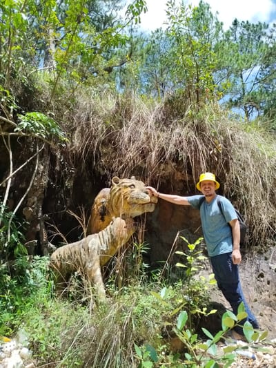 An outdoor, vertically oriented photograph taken in Đa Thọ, Vietnam, depicts one adult male standing beside two weathered tiger statues. The man, with fair skin and light brown facial hair, wears a yellow bucket hat, a light blue short-sleeved t-shirt, and dark blue convertible pants, with a black backpack on his back. He is smiling and looking towards the camera, with his left hand resting on the head of the larger tiger statue. This statue, made of a textured material resembling stone or concrete, exhibits faded yellow and gray striping and depicts an adult tiger's head and forequarters emerging from the hillside. A smaller tiger cub statue, also weathered and stripped, is positioned in front of and below the adult tiger, facing its head. The background consists of a steep, heavily vegetated slope featuring dense dry, tall grasses, various green foliage, and exposed rock formations. In the upper background, multiple green pine trees are visible against a clear blue sky. The foreground includes scattered green vegetation and what appears to be rocky terrain. The scene is illuminated by bright daylight.