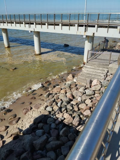 A person stands on a walkway above a rocky shore near Zelenogradsk, Russia. The walkway is elevated on pillars over the water and has glass railings. A set of concrete stairs leads from the walkway down to the shore. The shore is covered in many large, rounded rocks and some sand. The water is choppy and a murky greenish-brown. The sky is clear blue, indicating a sunny day. The sun casts shadows on the walkway and the rocks, suggesting it is daytime, likely late morning or early afternoon. The person is wearing a patterned dress and a backpack and is looking out towards the water. They appear to be calmly observing the scene. The overall atmosphere is peaceful and serene, with the natural elements of the sea and shore contrasting with the man-made walkway and stairs.
