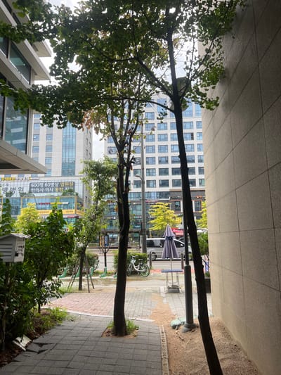 This is a static, medium-shot urban scene in Gangseo-gu, South Korea, depicting a street and buildings under an overcast sky, suggesting recent or ongoing precipitation as the ground appears damp.
In the foreground, a grey paver sidewalk with reddish accents is visible on the left, leading to an area with sparse light-colored gravel on the right. Green foliage, including several slender trees with green leaves, frames the view. A small white, louvered structure, possibly a mailbox or decorative object, is partially visible on the far left, nestled within the greenery. On the immediate right, a featureless, light brown textured building wall rises vertically.
The midground reveals an asphalt street with visible puddles or dampness. A white bicycle with a green frame is parked upright against a series of green U-shaped bicycle racks. Further down the street, a light grey outdoor umbrella is open over a small table. A silver van is parked, and other vehicles are visible on the street.
The background is dominated by multi-story modern buildings. A prominent building on the left features a façade with large windows and signage displaying Korean text, including "600명 60병상 입원실" (600 people, 60 beds), indicating a medical facility, and "한의사 의사 통협진" (collaboration between Oriental and Western doctors). Another taller, light-colored building with numerous uniform windows is visible further back. Yellow and black street signs with Korean text are interspersed throughout the background. No individuals are depicted within the scene.