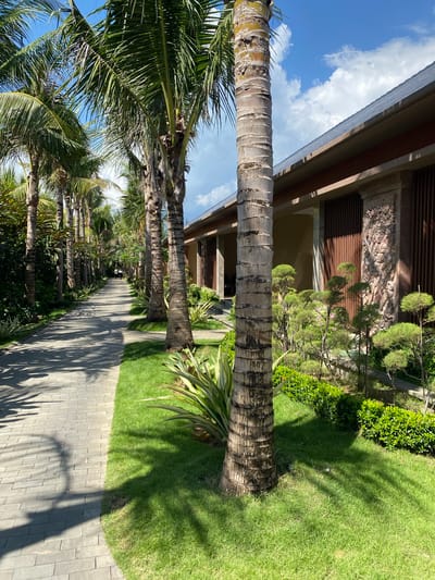 An outdoor pathway, paved with rectangular grey stones, runs through a tropical resort area in Buleleng, Indonesia. The pathway is lined on the left by lush green grass and a dense line of palm trees, their trunks visible and textured. On the right, the pathway borders a manicured garden featuring vibrant green grass, ornamental shrubs, and strategically placed bonsai-like trees. Beyond the garden, a building with a dark, sloped roof and an exterior facade made of a mix of stone pillars and wooden slats is visible. The stone pillars have intricate carvings. The sky above is a bright blue, dotted with fluffy white clouds. The scene is illuminated by bright sunlight, casting distinct shadows from the palm trees onto the pathway and the grass. Two figures are seen in the distance walking along the pathway.