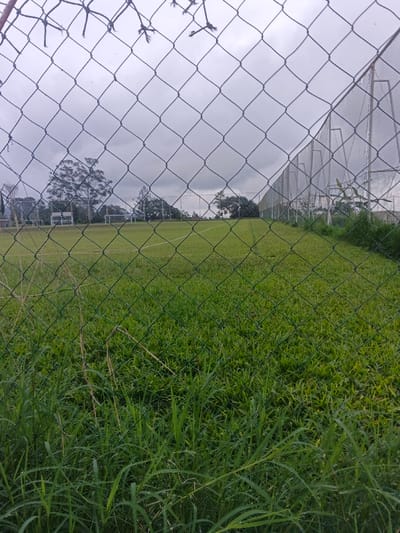 A soccer field stretches behind a chain-link fence under a cloudy sky. Lush green grass covers the field, marked with white lines. In the foreground, tall, untrimmed grass grows right up to the fence. A secondary fence runs along the right side of the field, constructed of poles with mesh panels. Scattered trees dot the landscape in the background.