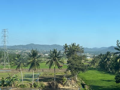 This image depicts a rural landscape in Adisana, Indonesia, on a clear day. In the foreground, there are several prominent coconut palm trees with lush green fronds. To the left, a tall, metallic electricity pylon stands against a bright blue sky, with power lines extending towards the horizon. The middle ground features a vibrant green rice paddy field, with some areas appearing to be freshly tilled and holding water, indicating agricultural activity. A small, rustic wooden hut is visible within the rice field. In the distance, a town with scattered buildings and houses is nestled amongst rolling green hills and mountains. The overall environment is serene and agricultural, with the presence of modern infrastructure like the electricity pylon contrasting with the natural landscape. There are no people clearly visible or identifiable in the image.