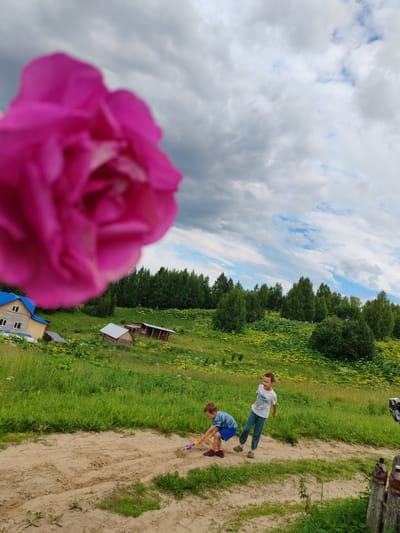 In Чухлэм, Russia, two young boys play in a sandy area with a backdrop of lush green hills and trees under a cloudy sky. A large, out-of-focus pink flower dominates the foreground, obscuring the upper left portion of the image. One boy, wearing a striped blue t-shirt and blue shorts, crouches down, actively digging in the sand with a yellow toy shovel. The other boy, in a white t-shirt and blue pants, stands nearby, looking towards the right.
Behind them, a sloping green field is dotted with yellow wildflowers and bordered by a dense line of green trees. Further in the distance, several small wooden structures, resembling cabins or sheds, are visible nestled on the hillside. A house with a blue roof is also present on the left side of the frame. The sky is dramatic, with a mix of dark and light grey clouds interspersed with patches of blue sky, suggesting variable weather conditions. The scene appears to be set during the daytime, possibly late afternoon given the lighting. The overall mood is one of playful childhood activity in a rural, natural environment.