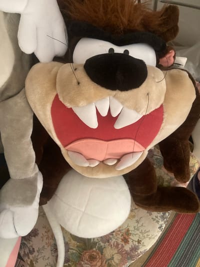 This media file features a close-up, overhead shot of several plush toys, primarily a large, fuzzy character resembling the Tasmanian Devil from Looney Tunes, with its mouth open revealing cartoonish teeth and pink and red interior. The plush toys are densely packed together, creating a chaotic but cuddly arrangement.
The primary subject is the plush toy, with its distinctive features prominently displayed. Other plush toys are partially visible, including one with white, cartoonish gloves and another white, rounded object that might be a body or another toy. The background consists of a patterned fabric, possibly upholstery, with floral motifs in muted tones of cream, green, red, and purple, overlaid by a striped textile with bands of color including red, cream, and brown, suggesting a woven rug or blanket.
There is no discernible activity taking place, as the toys are stationary. Notable details include the texture of the plush fur, the bright red and pink colors of the character's mouth lining, and the sharp white of its teeth. Fine black threads, likely whiskers, extend from the character's muzzle. The lighting appears to be indoor, with no clear indication of time of day or weather conditions. The setting is likely a home environment where these plush toys are stored or displayed.
No visible text is present in the image. The context provided specifies Kassel, Germany, but this information is not visually evident within the media file itself.