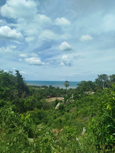 The image captures a panoramic view from a high vantage point overlooking a lush green landscape that slopes down towards the ocean. The foreground is dominated by dense foliage, with various shades of green and some lighter green leaves catching the sunlight. Large, weathered rocks are interspersed among the vegetation on the slope.
In the middle ground, the landscape opens up to reveal a scattering of trees, including a prominent palm tree standing tall against the horizon. There are also glimpses of buildings, one with a reddish-brown roof, nestled within the greenery, suggesting a small settlement or village. The terrain appears to be uneven, with cleared areas indicating human activity.
The background is defined by the calm, turquoise ocean meeting a hazy horizon. The sea extends as far as the eye can see, blending into the pale blue sky. The sky itself is filled with a dynamic pattern of white, fluffy clouds against a lighter blue backdrop, suggesting a partly cloudy day. The overall impression is one of a tropical, natural environment with hints of human habitation near the coast. This scene is likely located in Baan Harn, Thailand, given its characteristic tropical vegetation and coastal proximity. There are no people or animals visible in the image, and no specific actions or interactions are depicted.