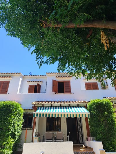 The image depicts the exterior of a white, two-story building with red-tiled roofs, situated in the town of Els Poblets, Spain. The building appears to be a residential property, possibly a townhouse or part of a complex, with multiple windows featuring brown wooden shutters. Some of the shutters are open, revealing dark interiors. An air conditioning unit is visible on the upper right side of the building.
In front of the ground floor, a striped awning in green and white extends over a doorway. The number '115' is displayed on the wall near the entrance. A small patio area is visible with outdoor furniture, including chairs and a table. An open doorway leads into the interior of the building, which is protected by an ornate black metal security gate.
The foreground is dominated by lush green bushes on both the left and right sides of the scene. Overhead, a large tree with dense green foliage partially obscures the bright blue sky and the upper parts of the building. A thick tree branch extends across the top of the frame, with dried seed pods hanging from it. The sunlight suggests it is daytime, casting shadows and highlighting the textures of the building and foliage. The overall impression is that of a well-maintained property in a sunny, Mediterranean climate.