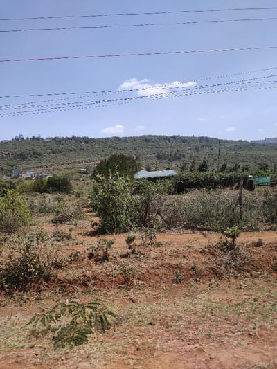 A hilly landscape under a clear blue sky. A field of dry, reddish-brown soil is scattered with sparse vegetation. Bushes and small trees fill the midground, partially obscuring a house with a turquoise roof. Electrical wires stretch across the top of the frame. More dense trees and shrubs cover the hillside in the background.
