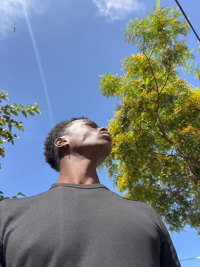 In Sant Adrià de Besòs, Spain, a low-angle shot captures a young Black person looking upwards towards a bright blue sky. The individual is wearing a black ribbed t-shirt. To the right, a tree with vibrant green leaves and small yellow flowers fills a significant portion of the frame. In the background, a lens flare creates a diagonal streak of light across the sky, and a single dark bird is visible in flight. The overall scene is outdoors, suggesting a sunny day with clear weather conditions.