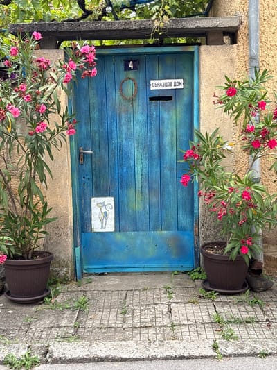 The image shows a weathered blue wooden door with a narrow mail slot and a small, rectangular sign attached to it. The sign has Cyrillic text that reads "ОБРАЗЦОВ ДОМ," which translates to "Sample House." Above the mail slot, a small square plaque displays the number "4." To the left of the number plaque, a circular decorative element made of what appears to be twigs is affixed to the door.
The door is set into a textured, light-colored wall. In front of the door, to the left and right, are two large brown planters containing flowering oleander bushes with vibrant pink blossoms and green leaves. These plants partially obscure the door.
To the right of the door, a tiled pathway is visible, with weeds growing through the cracks. A dark brown plastic pot is placed on the ground next to the pathway. A dark-colored drainpipe is visible near the top right of the image, near one of the planters. The scene appears to be outdoors, likely in a residential setting, given the presence of a house number and a "Sample House" sign. The lighting suggests it is daytime, and the healthy green foliage implies fair weather. The overall impression is one of a quaint, slightly rustic, and lived-in entrance.