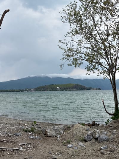 The image shows a serene natural landscape beside a body of water. The foreground features a tree branch extending from the left side of the frame, with small green leaves and delicate twigs. The ground on the right is composed of soil, gravel, and scattered rocks. A small plant sprouts from the ground near the water's edge.
Beyond the immediate foreground, a vast expanse of water occupies the right side of the image, with ripples suggesting a gentle breeze. In the distance, a mountain range dominates the horizon. Clouds are visible, some obscuring the peaks of the mountains, creating a soft, diffused light that suggests an overcast day, possibly in the late afternoon or early morning. The overall mood is tranquil and somewhat melancholic due to the muted colors and cloudy sky. There are no people or discernible objects that indicate a specific activity. The location context provided suggests this scene is in Tsamakaberd, Armenia. There is no visible text in the image.
