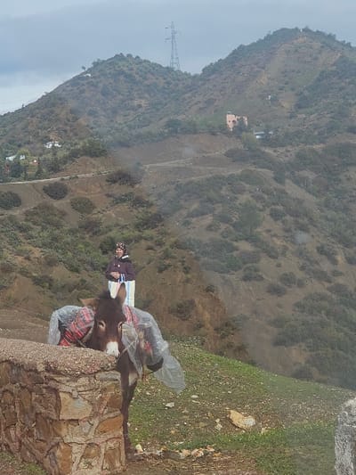 This image depicts a mountainous landscape in the region of Moqrisset, Morocco, under an overcast sky. In the foreground, a dark brown donkey stands behind a low, multi-toned stone wall, with its head resting on the top of the wall. The donkey is equipped with a red and black patterned blanket, covered by two clear plastic bags draped over its back, one on each side. Behind the donkey, a person, dressed in a dark jacket, light-colored lower garments, and a patterned head covering, stands with hands clasped in front of them, facing slightly right of the viewer. The background features undulating hills covered in sparse green and brown vegetation, with unpaved tracks visible traversing the slopes. A large electricity transmission tower is prominently positioned on a distant hilltop. On a lower hill, a distinct light peach-colored building with a dark roof and other smaller structures are discernible. The ground in the immediate vicinity of the donkey and wall is covered with green grass and scattered rocks.