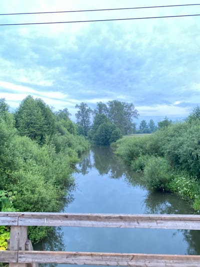 The image shows a serene waterscape with lush greenery and a wooden structure. The primary subjects are the natural elements: a calm river, dense trees and bushes lining its banks, and a sky filled with scattered clouds. A wooden railing, composed of two vertical planks, is prominently featured in the foreground on the right side of the image, suggesting a bridge or a viewing platform.
The scene depicts a tranquil natural setting, likely in the countryside given the abundance of vegetation. The water reflects the trees and the sky, creating a sense of depth and mirroring the natural beauty. The trees are a vibrant green, indicating it is likely daytime during the warmer months. The sky is a soft blue with white clouds, suggesting a pleasant, possibly overcast or early morning/late afternoon atmosphere. There are no people or animals visible, emphasizing the peaceful solitude of the location.
Notable details include the texture of the weathered wooden planks of the railing, showing visible grain and some signs of age. The reflections in the water are clear, highlighting the mirrored image of the surrounding trees and sky. The composition is dominated by the natural landscape, with the man-made wooden structure providing a framing element. The overall mood evoked by the image is one of peace, tranquility, and natural beauty. There is no visible text in the image. Based on the provided location context, this scene is likely situated in Баклуши, Russia.