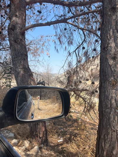 The image captures a view from a vehicle's side mirror, reflecting a scene on a dry, wooded hillside. Two large pine trees frame the view, their bark textured and rough. The branches of these trees are mostly bare, with some dried needles and numerous pine cones hanging from them. In the reflection of the side mirror, a white post with a red stripe is visible, standing upright in the dry, brown grass and scattered rocks of the terrain. A dark-colored vehicle is partially visible in the lower left corner of the image, suggesting the perspective is from inside a car. The background reveals more of the arid landscape, with a rocky hillside and sparse vegetation under a clear blue sky. The area appears to be a rural or semi-rural location, possibly outside of a settlement, given the natural, uncultivated surroundings. The presence of dry vegetation and pine cones suggests a Mediterranean climate, potentially during a warm and dry season. The location is identified as being in the vicinity of Silikou, Cyprus, a village known for its mountainous terrain and pine forests, consistent with the visual evidence in the image.