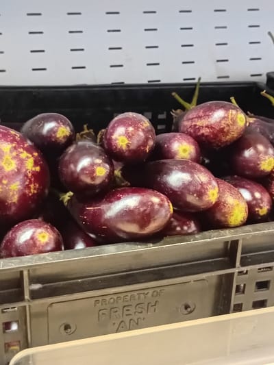 A black plastic crate filled with eggplants is sitting on a white surface. The crate has a white label that reads "PROPERTY OF FRESH 'AN' ". The eggplants are all purple and some have a green hue. The eggplants are arranged in a random fashion, some are stacked on top of each other. This scene appears to be inside a grocery store or market in the Pridelands area of Nairobi, Kenya. The coordinates provided correspond to an area within Nairobi that is primarily residential, but it is likely that this image was taken in a commercial area within close proximity to the residential area.