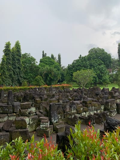 The image shows a large pile of grey stones, possibly remnants of a temple or other ancient structure, covered in moss and lichen. The stones are arranged in a seemingly random pattern, creating a labyrinthine landscape. The scene is located in the city of Mungkid, Indonesia, at coordinates -7.604 latitude and 110.23 longitude. The sky is overcast, and the ground is covered in lush green foliage. The background shows a variety of trees, including palm trees and large deciduous trees, which are partially obscured by the stone pile in the foreground. There are no people visible in the image.