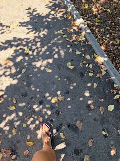 An overhead shot of a person's left foot, wearing a purple flip-flop with a silver strap, stepping onto an asphalt pathway. The pathway is littered with fallen yellow and brown leaves, and dappled with sunlight filtering through tree branches. To the right of the pathway is a concrete curb, beyond which is an area of dry grass and more fallen leaves. The image appears to be taken on an autumn day.