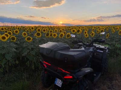 In the city of Kostinbrod, Bulgaria, a CFMOTO all-terrain vehicle is parked at the edge of a vast sunflower field during sunset. The ATV is dark gray and equipped with a black storage box on the rear, as well as red LED tail lights. A license plate with the inscription "BG CO A 5033" is attached to the rear. The field is filled with blooming sunflowers, their yellow petals facing the setting sun, which casts a warm orange glow across the sky. The sky is a gradient of blue, orange, and pink, with scattered clouds. In the distance, power lines are visible against the horizon. The foreground is dominated by tall grass and the ATV, with the sunflower field stretching out behind it. The overall scene captures a serene, rural moment during twilight.