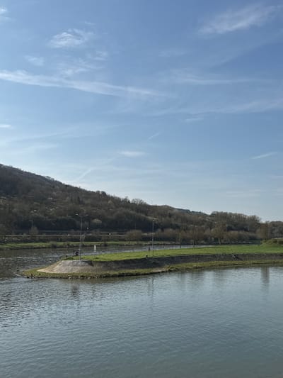 The image presents a panoramic view of a riverine landscape in Mertert, Luxembourg, under a clear sky with scattered, wispy cirrus clouds.

In the foreground and mid-ground, a body of water, consistent with a river, flows from left to right, displaying subtle ripples on its surface. A small, crescent-shaped landmass, possibly an island or a prominent bank feature, protrudes from the water in the mid-ground. This landmass is topped with green grass and features a sloped edge constructed from stone or concrete. Approximately three dark-feathered birds are situated at the water's edge of this landmass on the left side. A tall, dark lamppost stands centrally on this grassy area, accompanied by two white, rectangular markers.

Beyond this landmass, the river continues, bordered by a strip of level green grass. Adjacent to this grass strip is a line of approximately ten deciduous trees, currently bare of leaves, indicating a dormant season. Further into the background, a discernible railway line with overhead catenary structures runs parallel to the river and the tree line. The background is dominated by a steep hillside densely covered with deciduous trees, also largely bare of foliage, suggesting either late winter or early spring. Patches of lighter vegetation are interspersed throughout the hillside. The scene is illuminated by natural daylight, casting a clear reflection of the lamppost in the water.