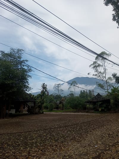 The image displays an outdoor scene in Sat Thay (East), Myanmar, under an overcast sky. Numerous black electrical or communication lines crisscross the upper portion of the frame against a pale blue-grey sky with scattered white clouds. In the background, a prominent dark green mountain range is partially obscured by white clouds or mist, particularly around its lower and mid-sections.
The midground is characterized by lush green foliage. Two small, open-sided structures with dark, pitched roofs, resembling huts or gazebos, are visible; one to the center-left and another to the center-right, both nestled among trees and dense greenery. On the far left, a larger structure with a dark roof and wooden elements is partially visible behind a stand of bamboo. The foreground consists of dark brown ground, likely dirt or gravel, heavily blanketed with a dense layer of dry, brown, fallen leaves. No individuals, animals, or specific actions are depicted within the scene.