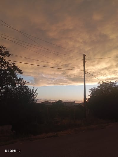 This is a vertical-format photograph taken outdoors at dusk in Vedi, Armenia. The scene captures a dramatic sky filled with voluminous clouds that are illuminated by the setting sun, casting a warm, peachy glow. A utility pole with numerous wires stretches vertically through the frame, diagonally cutting across the sky and obscuring parts of the clouds. Two small birds are visible in flight against the cloudy backdrop.

The foreground is dominated by dark silhouettes of trees on both the left and right sides of the image, framing the view. On the right, a paved road runs alongside the trees. In the distance, silhouetted houses and structures suggest a residential area. The lighting indicates either sunrise or sunset, with the warm tones of the sky dominating the upper left of the image and transitioning to a paler blue sky further to the right. The overall mood is serene, with a hint of natural drama from the sky and the utilitarian presence of the power lines.

The visible text "REDMI 12" is printed vertically along the right edge of the image, indicating the device used for capture.