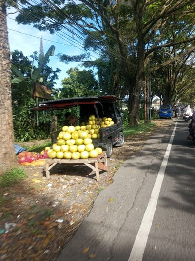 The scene depicts a roadside fruit vendor operating under a bright blue sky in Phonengam, Laos. In the immediate foreground on the left, a large tree trunk borders a dirt and gravel shoulder. On this shoulder, a makeshift wooden table supports a large, pyramidal display of numerous yellow-green pomelos. To the left of the table, a red net bag, possibly containing more fruit, rests on a blue tarp on the ground.

Behind the fruit display, a dark-colored, compact utility vehicle, resembling a small pickup truck with a black canopy over its bed, is parked. The vehicle's bed is also filled with many yellow-green pomelos. A person, appearing male with dark hair, is visible within the vehicle's cab or near its rear, engaged in an indeterminate activity, possibly arranging fruit or tending to the stall.

To the right of the vendor setup, an asphalt road with a solid white line delineating the shoulder is visible. Shadows from overhead trees extend across the road and shoulder. Further down the road on the right, a line of mature, large-canopied trees shades the roadway. Traffic is present on the road, including a blue hatchback car further in the distance and several motorcycles, some with riders wearing helmets, one with a white head covering, appearing to be in motion.

In the background on the left, dense green foliage, including banana trees, is visible, along with a small, weathered rectangular sign that is largely illegible. Overhead, numerous black electrical or communication wires crisscross against the clear blue sky.