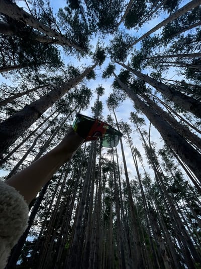A first-person perspective shot looks up through a dense forest of tall pine trees. The camera is angled upwards, with the tops of the trees reaching towards a cloudy, pale blue sky. The rough, textured bark of the tree trunks is visible, and dark green pine needles create a canopy overhead, filtering the light. In the foreground, a human arm is extended upwards, holding a pair of ski goggles. The goggles have a bright orange frame and reflective, green-tinted lenses that capture the surrounding trees and sky. The arm is covered by a fluffy, cream-colored material, possibly part of a jacket or scarf. The overall impression is one of being in a secluded, natural environment, possibly during an outdoor activity like hiking or skiing in a forested area in Podshivalovo, Russia. The lighting suggests it might be daytime, perhaps late afternoon, with the clouds obscuring direct sunlight. There is no visible text in the image.