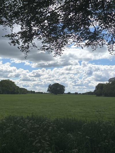 The image captures a pastoral scene in Knutsford, United Kingdom. A large, grassy field dominates the right side of the frame, with lush vegetation bordering its edge. A solitary tree stands in the middle distance. The sky is filled with layered clouds, ranging from bright white to dark grey, with patches of blue sky visible. A tree with dense foliage occupies the left side of the frame, its branches partially obscuring the sky. There are no people visible in the image.