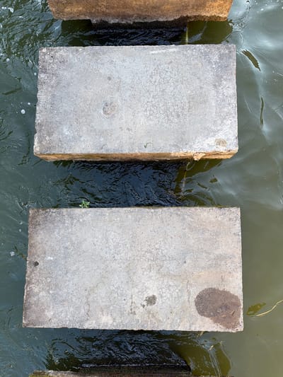 A high-angle, close-up shot captures a set of four rough, rectangular concrete stepping stones placed across a body of dark, murky water. The water flows gently, creating ripples and small bubbles on the surface. The stepping stones are spaced to allow passage, with a narrow channel of water between each. The stone on the far left appears slightly rougher and more weathered than the others, with a brown-orange hue. The other three stones are a light gray and show signs of wear, with some darker patches and minor chips. A small green plant sprouts from the water between the second and third stepping stones from the left. The scene suggests an outdoor setting, possibly a natural waterway or a garden feature. There is no visible text in the image. The lighting suggests it is daytime, with no strong shadows indicating a specific time. The overall mood is peaceful and natural.