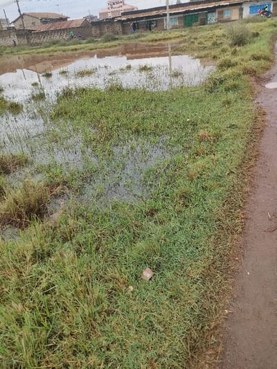 The image displays an outdoor scene in Juja ward, Kenya, under an overcast sky. A significant portion of the left and central foreground consists of a grassy area, predominantly green with some brown patches, largely submerged in standing muddy water that reflects the sky and distant structures. A dirt path, appearing wet and muddy, runs along the right edge of the frame. A small, light-colored object, possibly refuse, is present on the grass in the lower center.

In the midground, a single wooden utility pole stands in or adjacent to the flooded area. The background features a collection of structures. To the left, a low stone wall topped with corrugated metal fencing runs horizontally, behind which are residential buildings with corrugated metal roofs. A taller, multi-story building is visible in the far distance on the left. To the right, a row of single-story commercial buildings or shops with various colored doors (including green and blue) and corrugated metal roofs extends horizontally.

Four individuals are identifiable in the background. Three persons are situated near the stone wall on the left, with two appearing to be standing or walking, and one partially obscured. A fourth individual is visible near the commercial buildings on the right. A red and black motorcycle is parked or positioned near the rightmost commercial building. The environment suggests conditions of recent or ongoing rainfall, characterized by widespread standing water and wet ground.