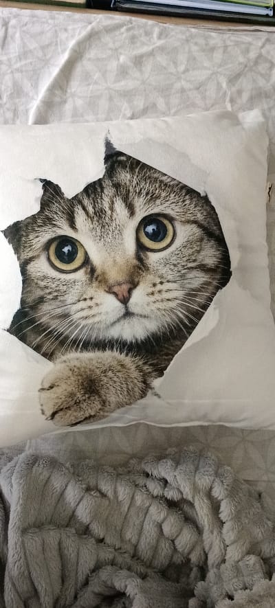 A close-up, vertical shot shows a pillow with a photorealistic print of a tabby cat's face peering through a torn opening. The cat has large, round, yellow eyes with dark pupils, a pink nose, and prominent white whiskers. One of its paws, with visible claws, is extended forward. The pillow is white and rests on a crumpled, grey, fuzzy blanket. The background is out of focus and appears to be a bed or sofa. The image is a still life with no people or actions depicted. There is no indication of the location in Падлабенскі сельскі Савет, Belarus.