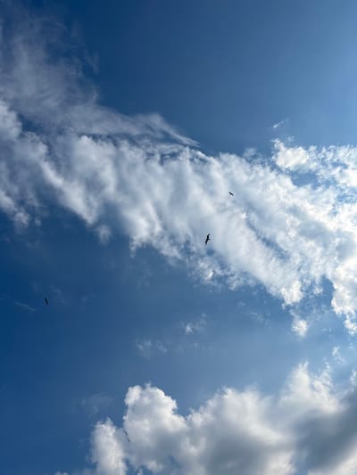 In the image, a bright blue sky is filled with wispy white clouds. Several birds are visible in flight, appearing as small dark silhouettes against the vast expanse. The overall impression is one of a clear and sunny day, likely in a coastal or open area, given the presence of birds and the expansive sky. This scene is consistent with the environment of Ahtopol, Bulgaria, a seaside town known for its clear skies and avian populations.